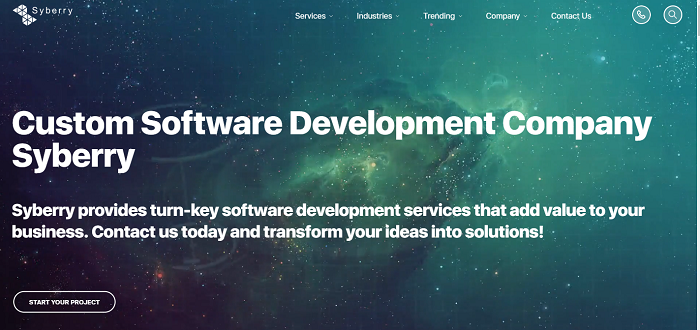Syberry- software-development-Toporgs
