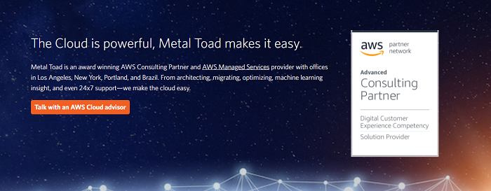 AWS Metal Toad-Toporgs